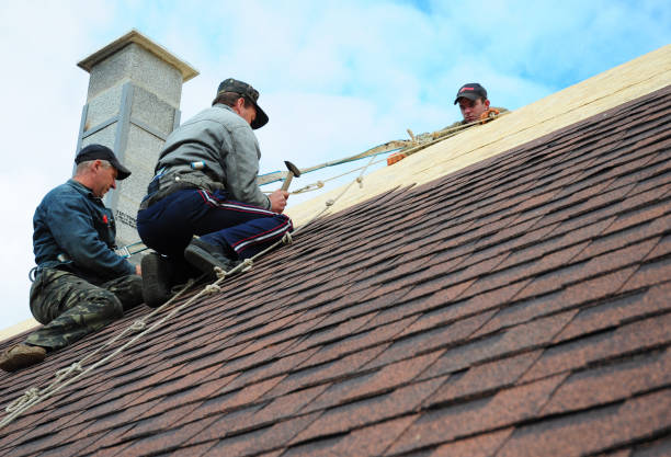 Best Best Roofing Contractors  in Groveland, ID
