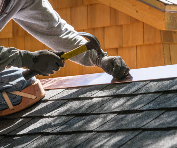 Best Roof Gutter Cleaning  in Groveland, ID